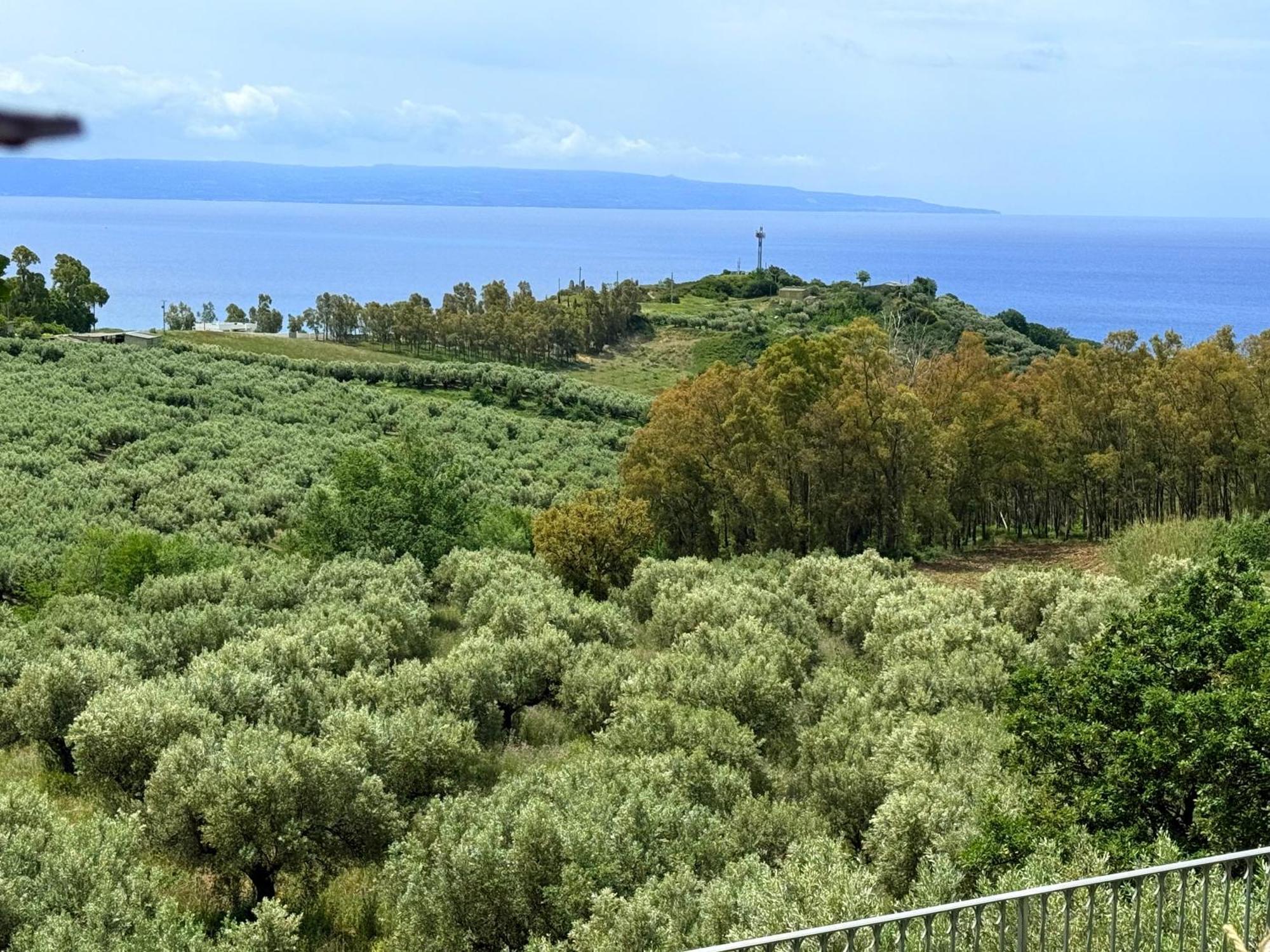 Bed and Breakfast Casale Calabria Gizzeria Exterior foto